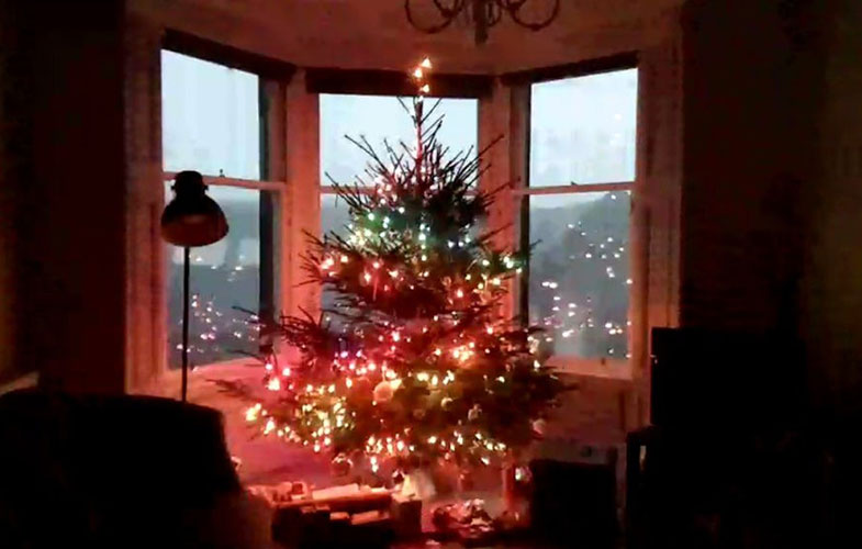 تجربه اینترنتی درخت کریسمس! (+فیلم و عکس)