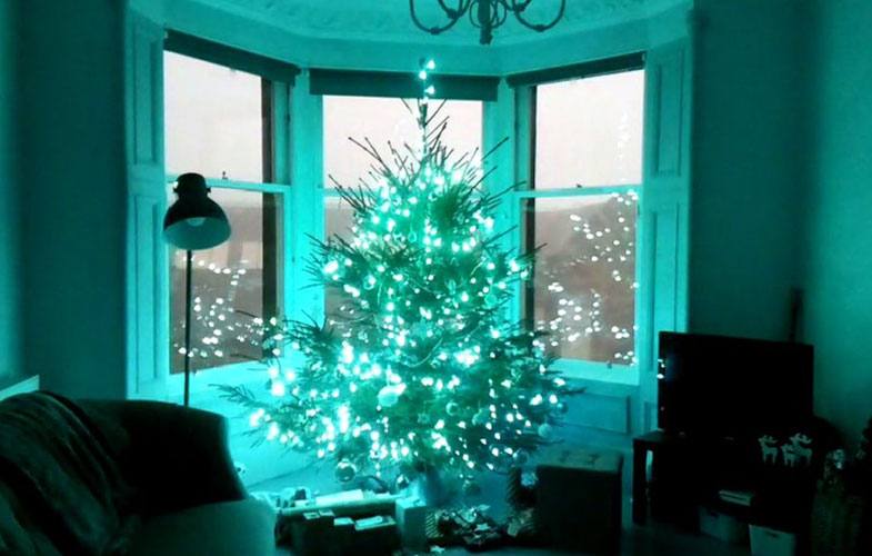 تجربه اینترنتی درخت کریسمس! (+فیلم و عکس)