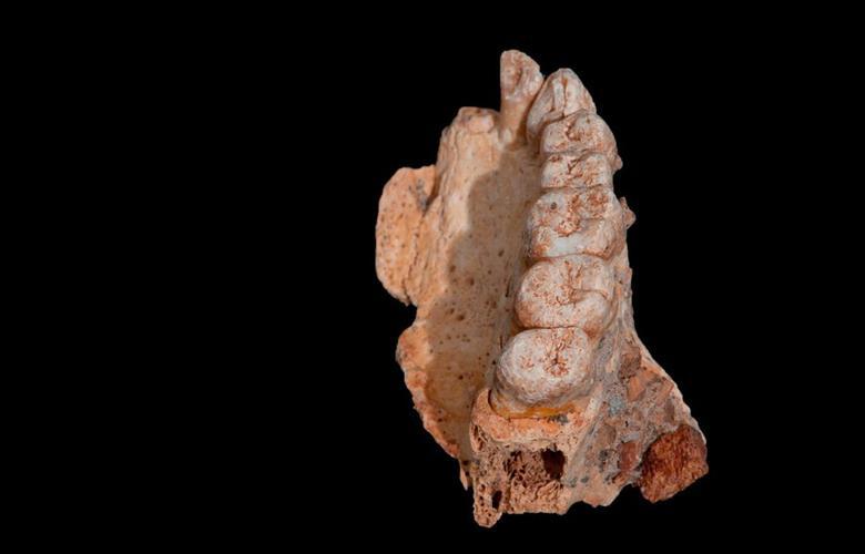کشف قدیمی‌ترین استخوان انسان خارج از آفریقا (+عکس)