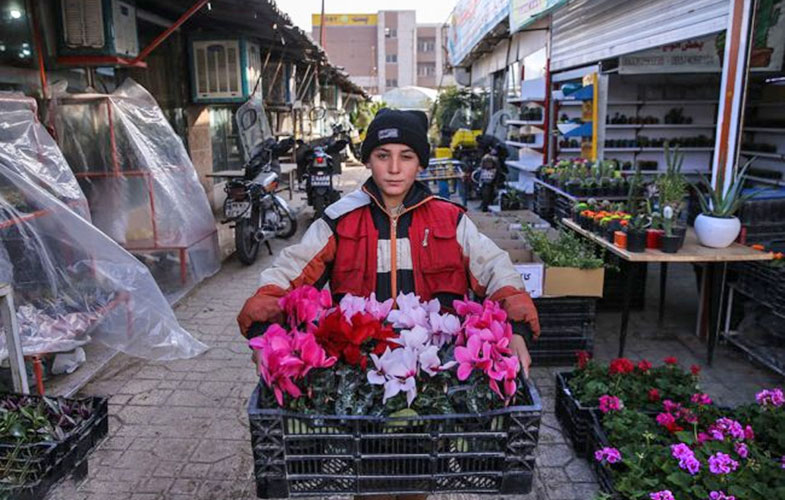 بهترین باغ گل‌های تهران کدامند؟ (+عکس)
