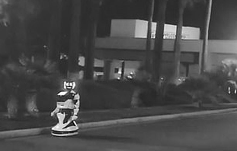 خودروی خودران تسلا، یک ربات را به قتل رساند! (+فیلم و عکس)