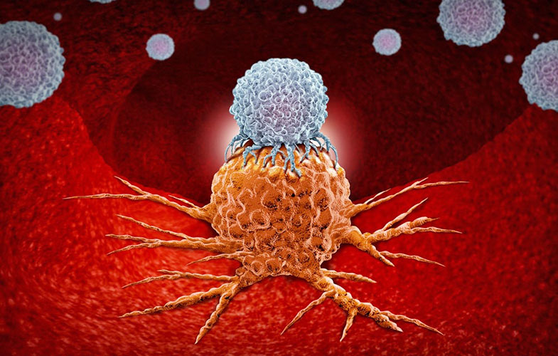 افزایش ایمنی بدن برابر سرطان با کمک یک پروتئین جدید