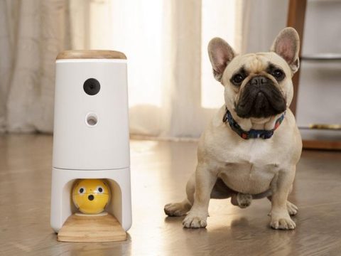 این روبات هوشمند جای خالی صاحب حیوان خانگی را پر می‌کند! (+عکس)