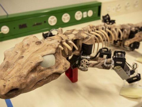 نخستین روبات ساخته شده از روی حیوان 300 میلیون ساله (+عکس)