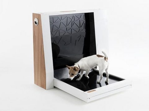 سرویس بهداشتی هوشمند برای سگ‌های خانگی! (+فیلم و عکس)