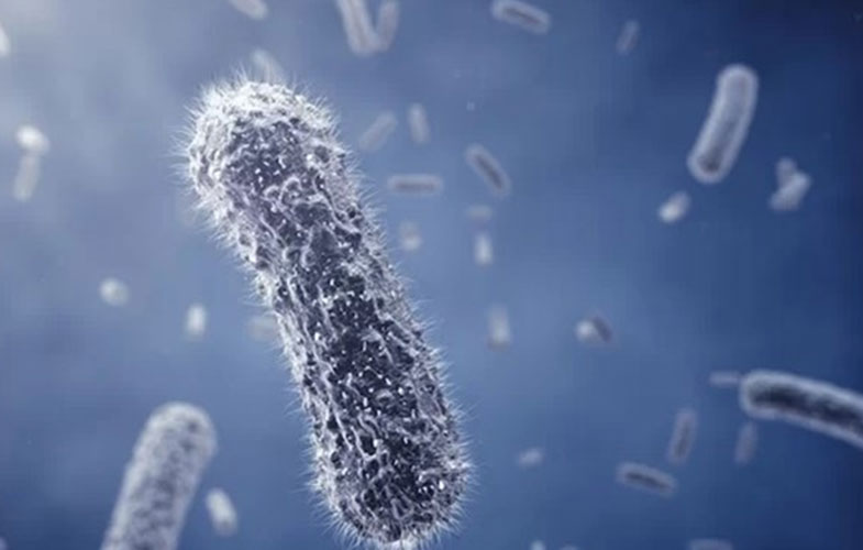 شناسایی باکتری هایی که آنتی بیوتیک ها را خنثی می کنند