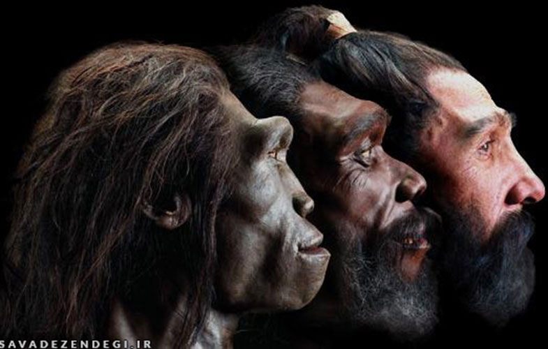 چگونه در عصر جدید، با مغز به جا مانده از 100 هزار سال پیش زندگی کنیم؟