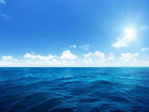رنگ 50 درصد اقیانوس‌های جهان به زودی عوض می‌شود!