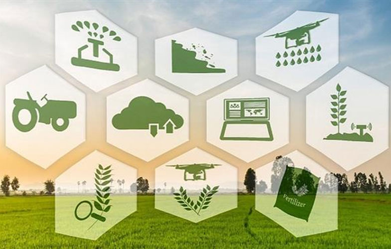 نقش فناوری اطلاعات در توسعه و افزایش بهره‌وری بخش کشاورزی