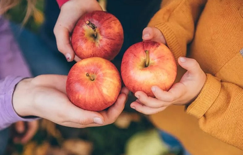 فواید سلامت مصرف یک سیب در روز