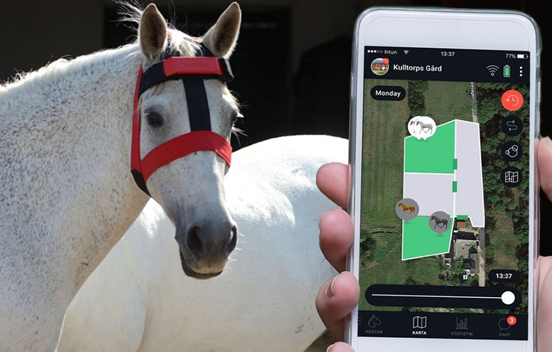 نگهداری اسب با اپلیکیشن هوشمند