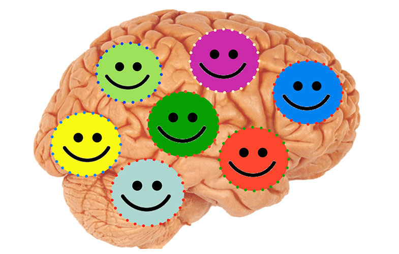 آیا شما یک «مغز» شاد دارید؟!