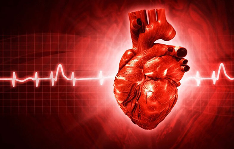 14 عامل خطرآفرین برای بیماری قلبی!