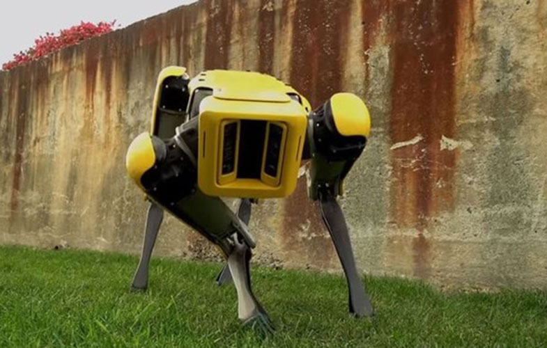 سگ رباتیک بوستون دینامیک تا پایان سال به بازار می آید
