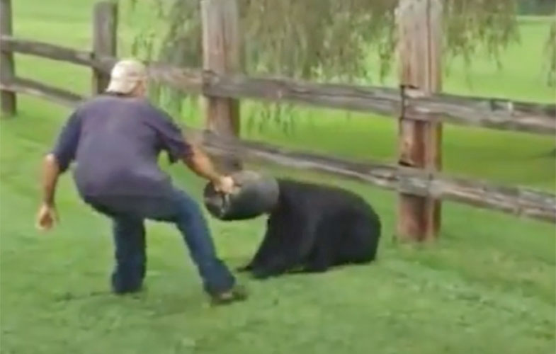 نجات یک خرس توسط مردم! (ویدئو)