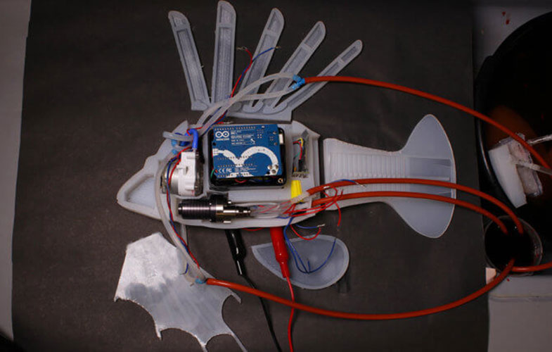 دانشمندان ماهی رباتیک ساختند (+فیلم و عکس)