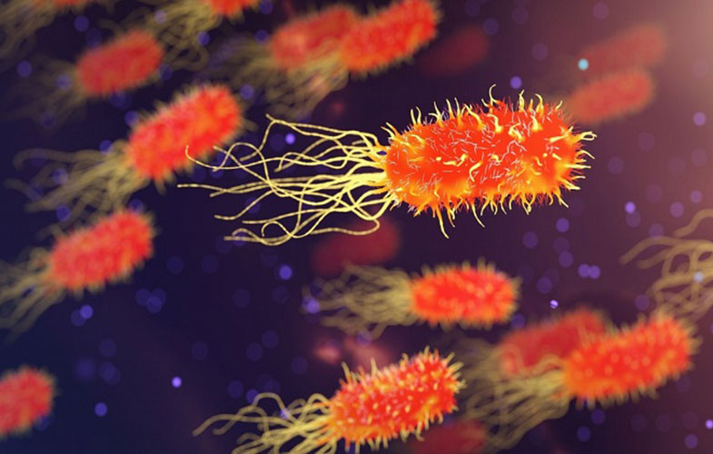 5 روش طبیعی برای مبارزه با عفونت‌های باکتریایی