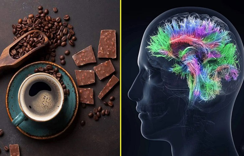 درباره ارتباط «قهوه و شکلات» با هوش انسان