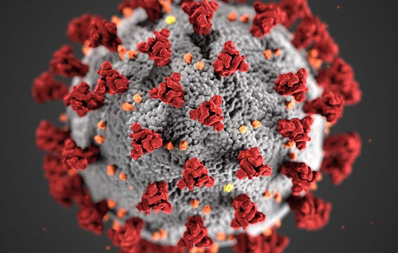 تغییرات کروناویروس باعث می‌شود سلول‌ها آن را تشخیص ندهند
