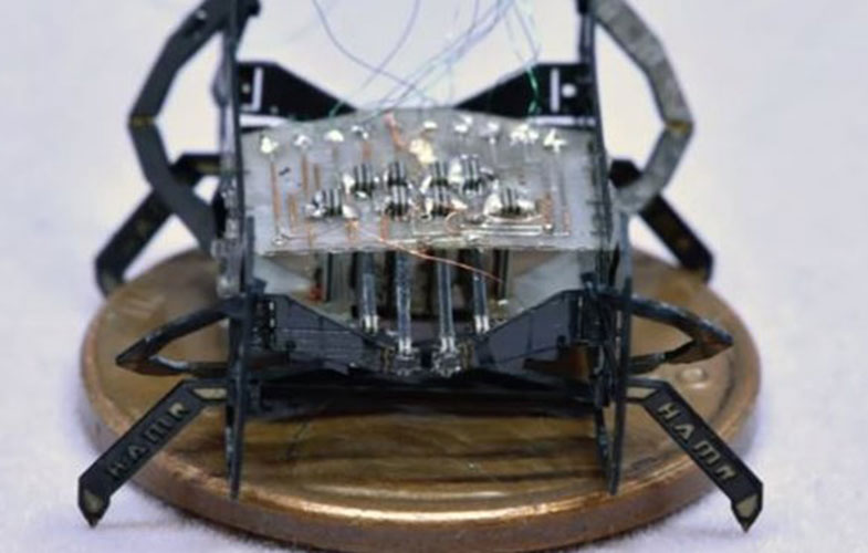 کوچک‌ترین و سریع‌ترین ربات جهان ساخته شد