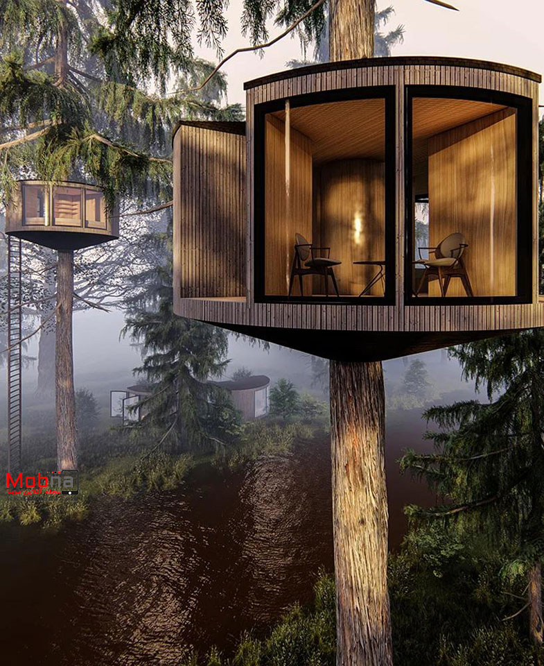 خانه های درختی با چشم انداز 360 درجه (+تصاویر)
