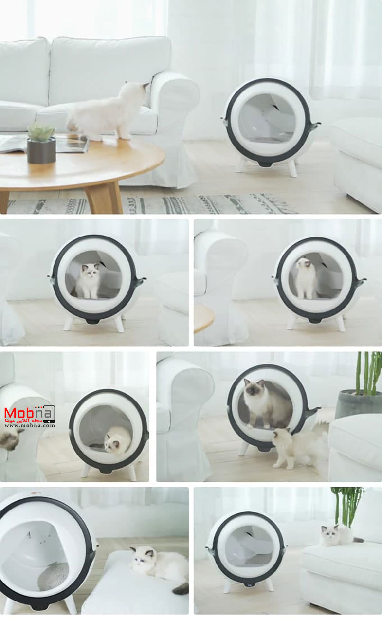 توالت پیشرفته برای گربه ها! (+تصاویر/فیلم)