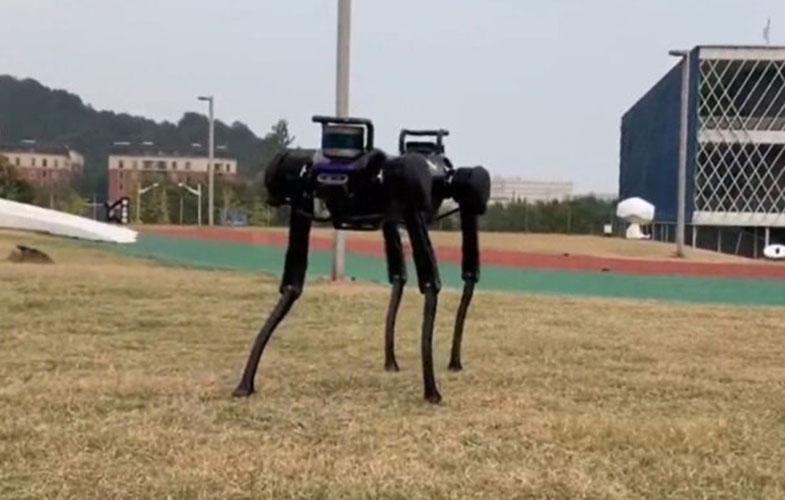 سگ رباتیک بعد از زمین خوردن بلند می شود