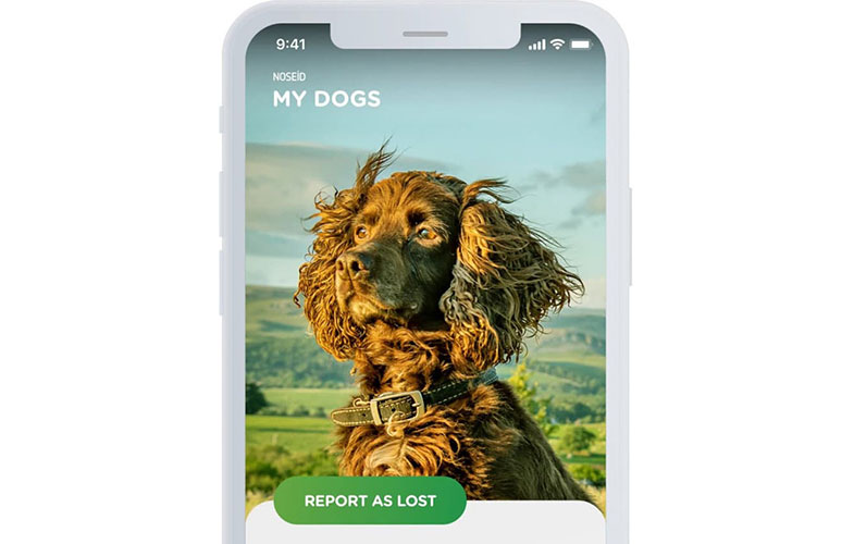 NOSEiD؛ اپلیکیشنی برای جست و جوی سگ های گمشده!(+عکس)