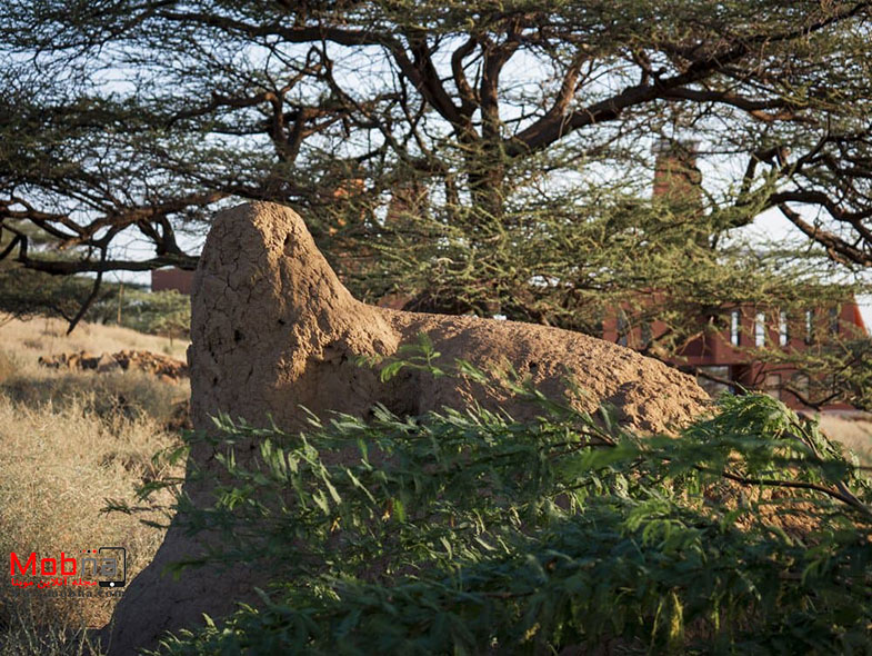 پردیس آموزشی کنیا در کنار برج های تهویه بلند (+عکس)
