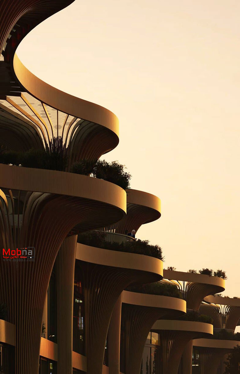طراحی 32 درخت سولار برای یک بازار در شانگهای! (+عکس)