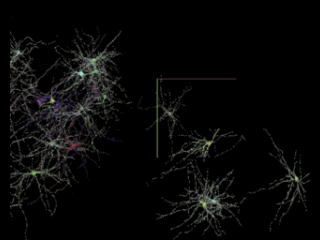 همکاری محققان هاروارد و گوگل برای تهیه نقشه ای مرکب از مغز انسان (+عکس)