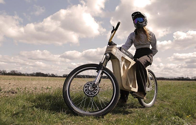 دوچرخه الکتریکی منحصر به فرد از تخته چندلا (+عکس)