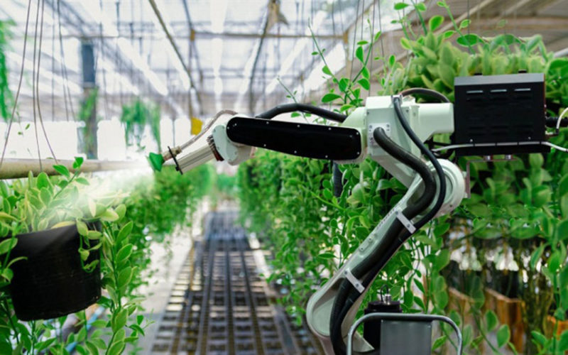 ربات ها و هوش مصنوعی؛ کشاورزان متفاوت آینده! (+عکس)