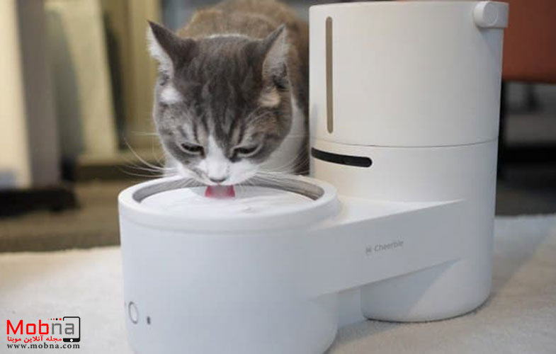 درینکی؛ ظرف آب هوشمند برای حیوان خانگی (+عکس/فیلم)