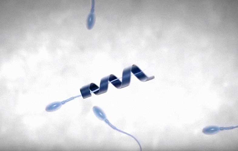 اسپرم‌ها و شنا به کمک یک نانو ربات برای درمان ناباروری (+فیلم و عکس)