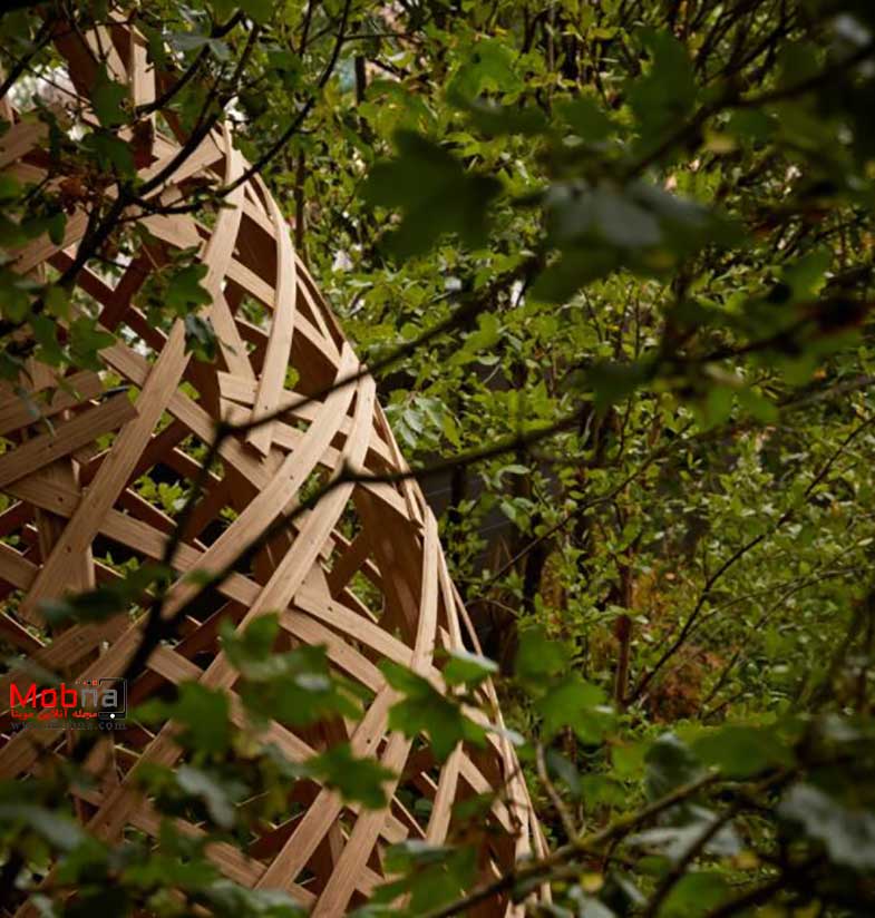 برج‌های بامبو؛ اثری اختصاصی برای چلسی (+عکس)