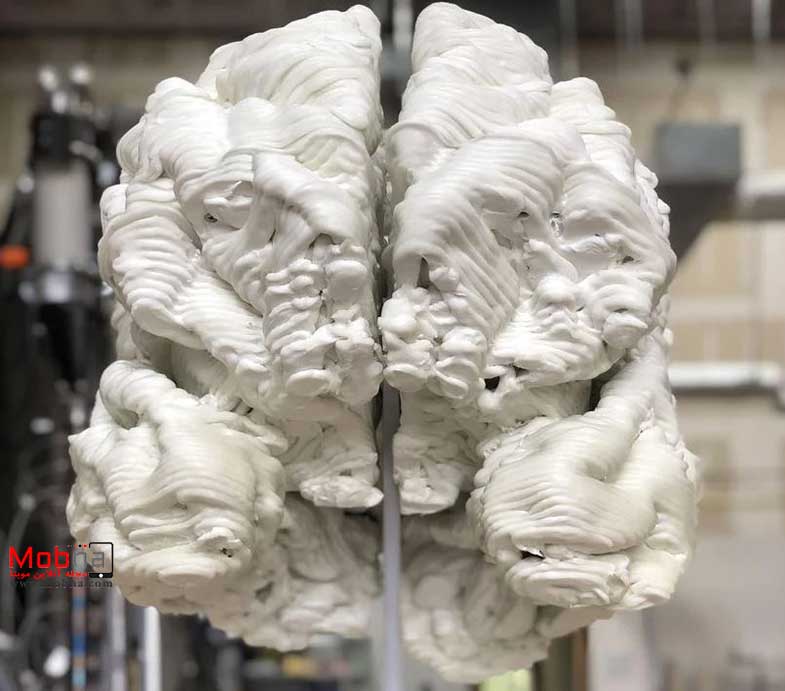 دانش‌آموز دبیرستانی آمریکایی مغز را چاپ 3 بعدی کرد (+عکس)