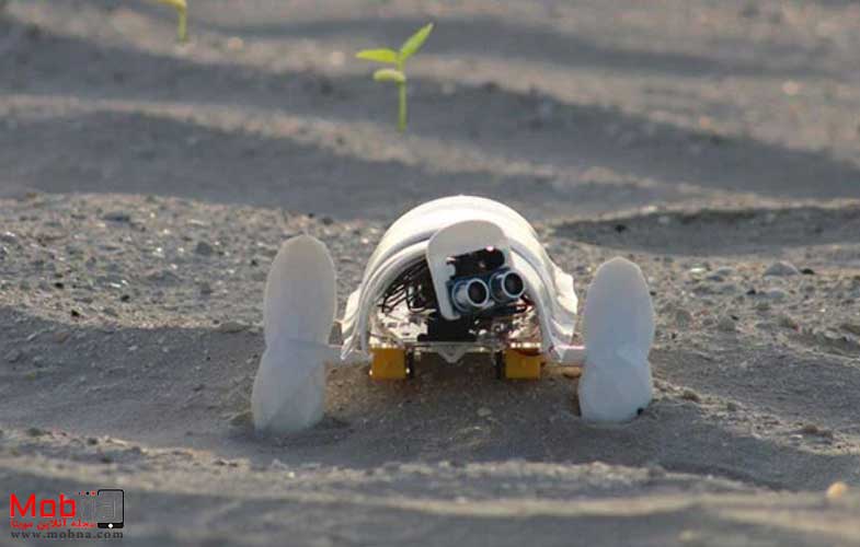 ربات کوچک صحرا را به منظره‌ای سرسبز تبدیل می‌کند! (+عکس)