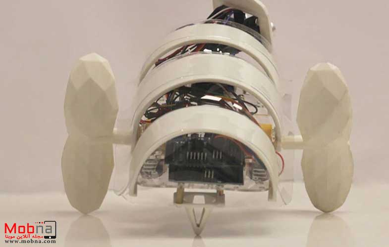 ربات کوچک صحرا را به منظره‌ای سرسبز تبدیل می‌کند! (+عکس)