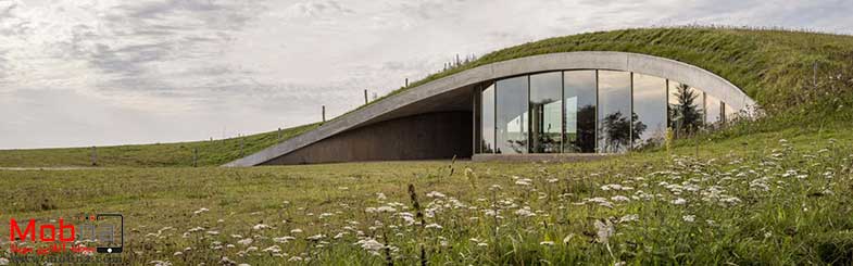 پروژه‌ شاخص معماری در علفزارهای دانمارک (+عکس)