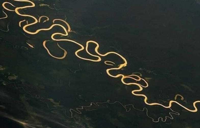 نمای بسیار دیدنی رود آمازون از فضا(عکس)