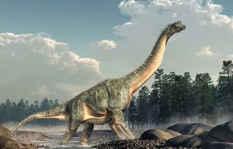 کشف فسیل بزرگترین دایناسور خزنده‌پای اروپا در حیاط خلوت