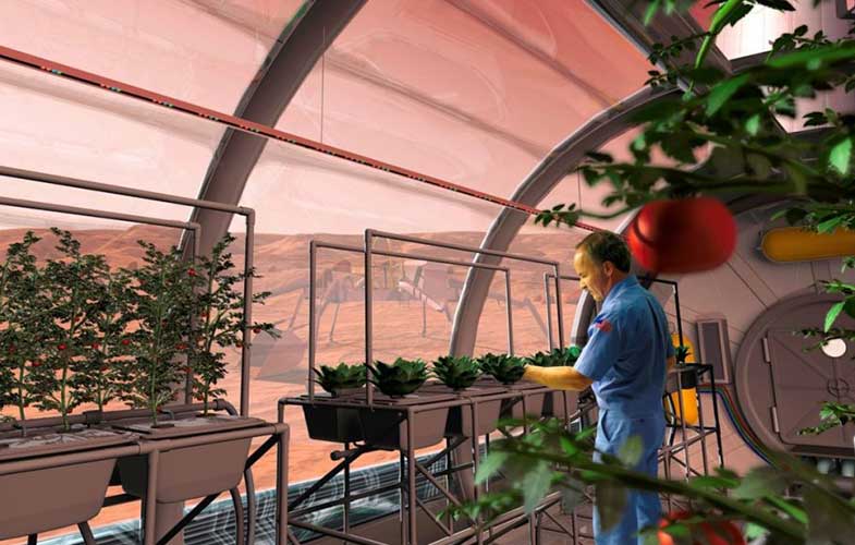 اولین گلخانه فضایی تا سال 2023 به بهره‌برداری می‌رسد