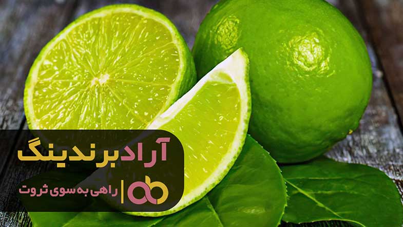 فروش لیمو ترش درجه یک در سراسر کشور آغاز شد