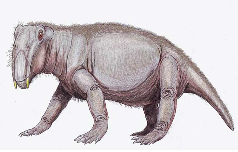 خوکِ دوران دایناسورها چه شکلی بوده است؟ (+عکس)