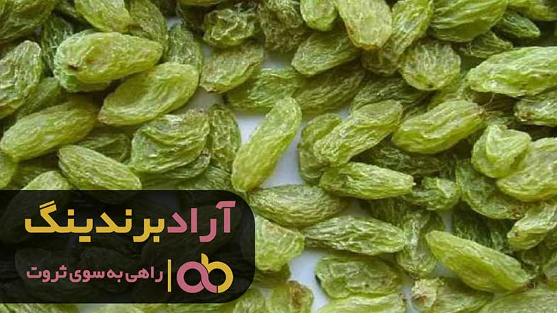 کشمش سبز ملایر محبوب ترین کشمش در میان ایرانیان