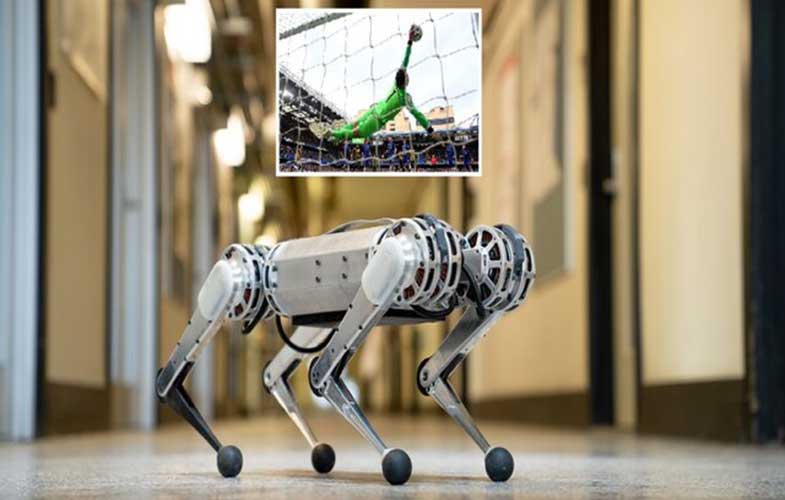 سگ رباتیک با عملکردی بهتر از دروازبانان لیگ برتر! (+فیلم و عکس)