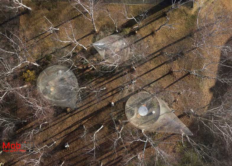چادرهای اشکی شفاف در جنگل! (+عکس)