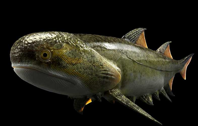 محققان چینی احتمالا فسیل قدیمی‌ترین ماهی آرواره‌دار دنیا را کشف کردند