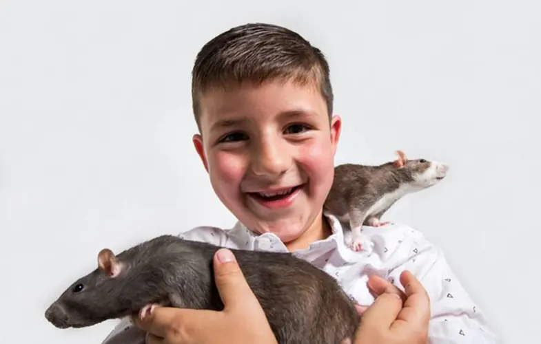 آیا موش‌ها انسان را از انقراض نجات می‌دهند؟